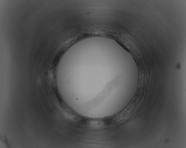 X0000095670415200801081044