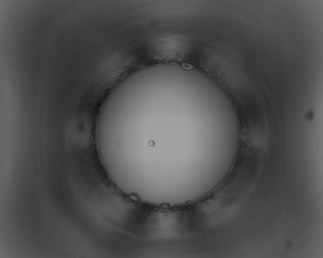 X0000095670416200801081044
