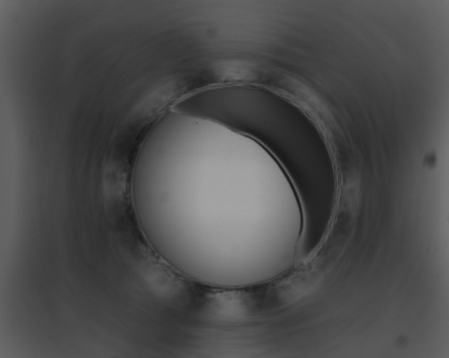 X0000095670417200801081044