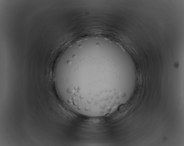 X0000095670418200801081044