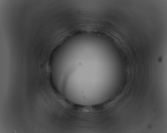 X0000095670420200801081044