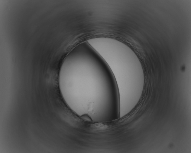 X0000095670421200801081044