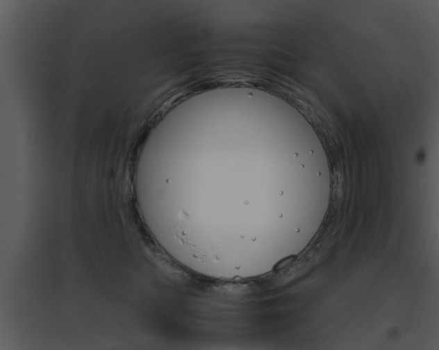 X0000095670422200801081044