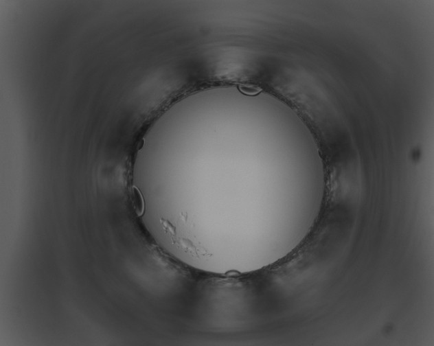 X0000095670424200801081044