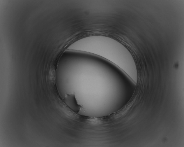 X0000095670425200801081044