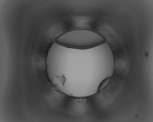 X0000095670426200801081044