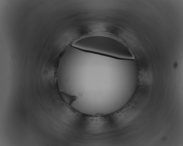 X0000095670428200801081044