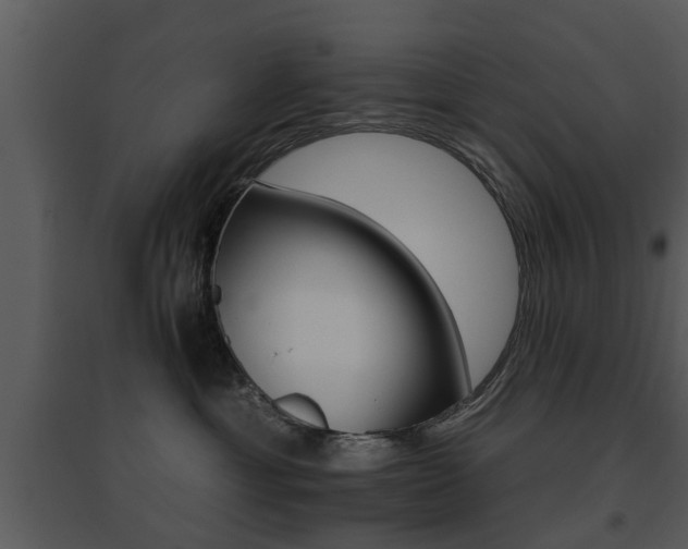 X0000095670429200801081044