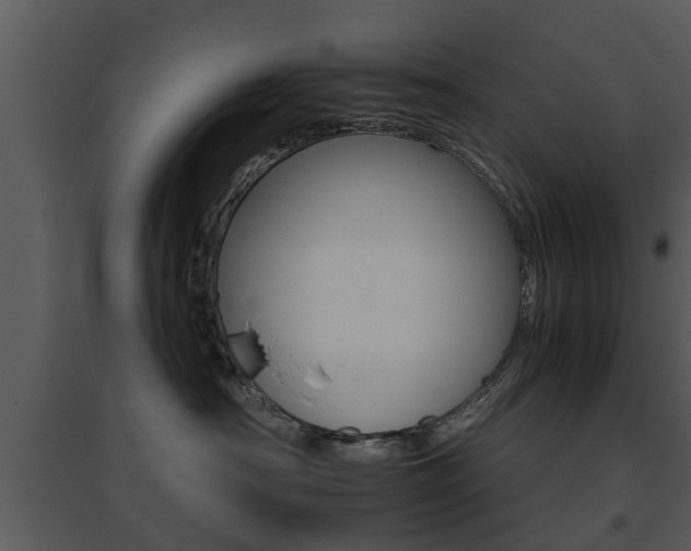 X0000095670430200801081044