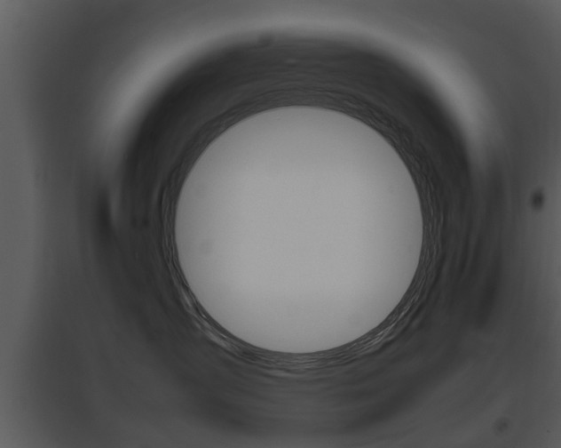 X0000095670431200801081044