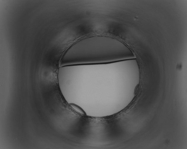 X0000095670432200801081044
