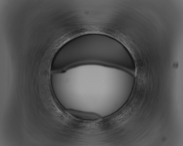 X0000095670433200801081043