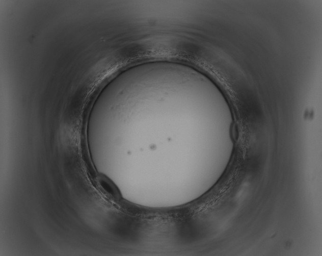 X0000095670434200801081043