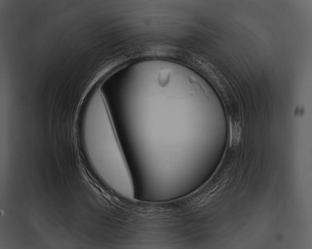 X0000095670435200801081043