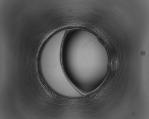 X0000095670436200801081043