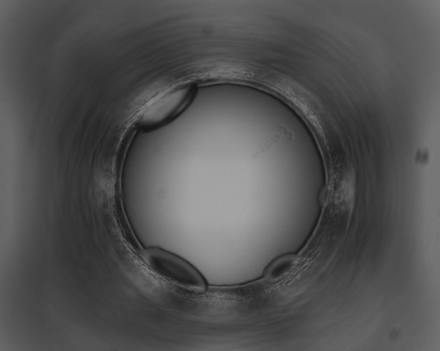 X0000095670437200801081043