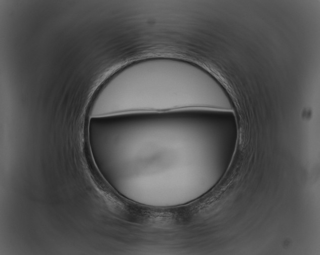 X0000095670438200801081043