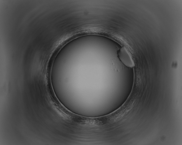 X0000095670439200801081043