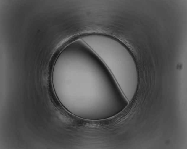 X0000095670440200801081043