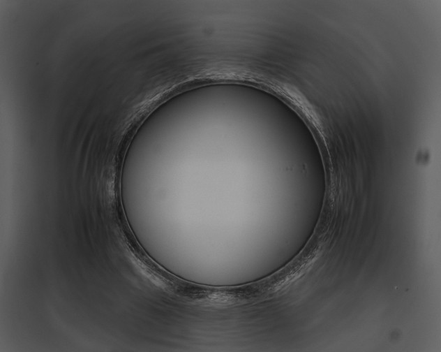 X0000095670441200801081043