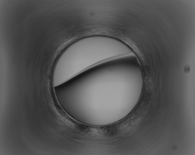 X0000095670442200801081043