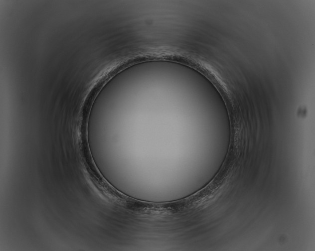 X0000095670443200801081043
