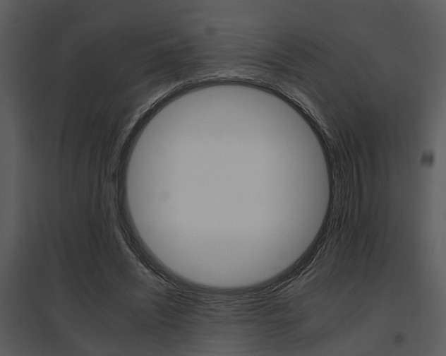 X0000095670444200801081043