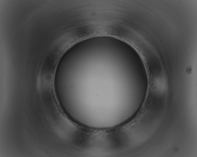X0000095670445200801081043