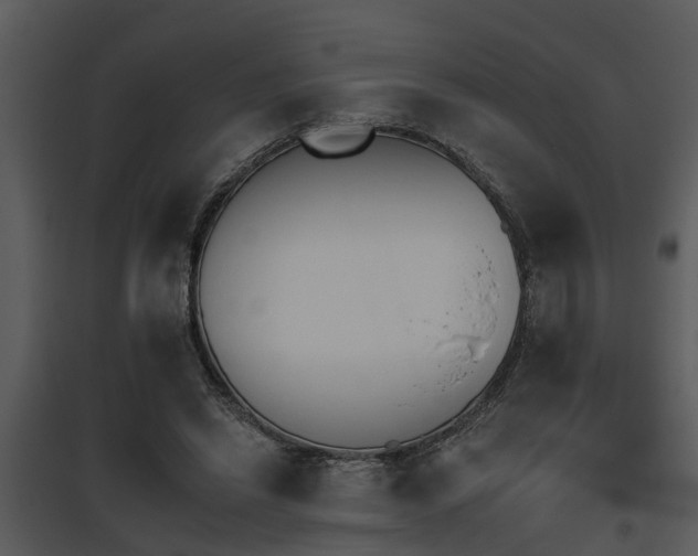 X0000095670446200801081043