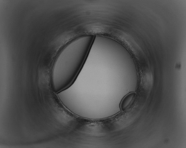 X0000095670447200801081043