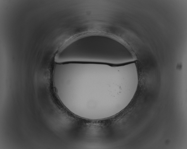 X0000095670448200801081043