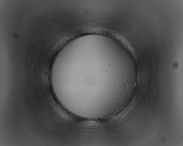 X0000095670449200801081043