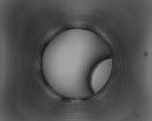X0000095670450200801081043