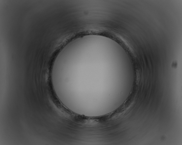 X0000095670451200801081043
