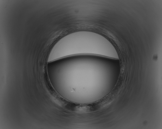 X0000095670452200801081043