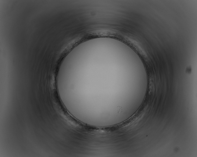 X0000095670453200801081043