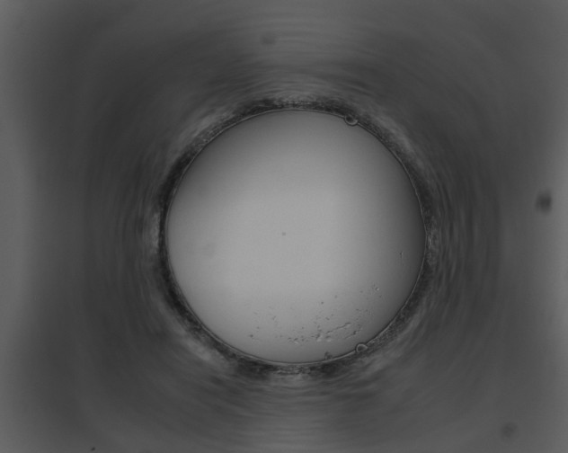 X0000095670454200801081043
