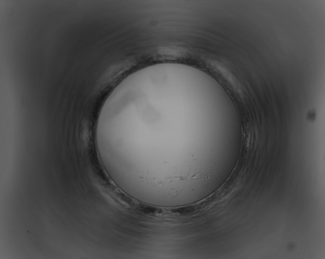 X0000095670455200801081043