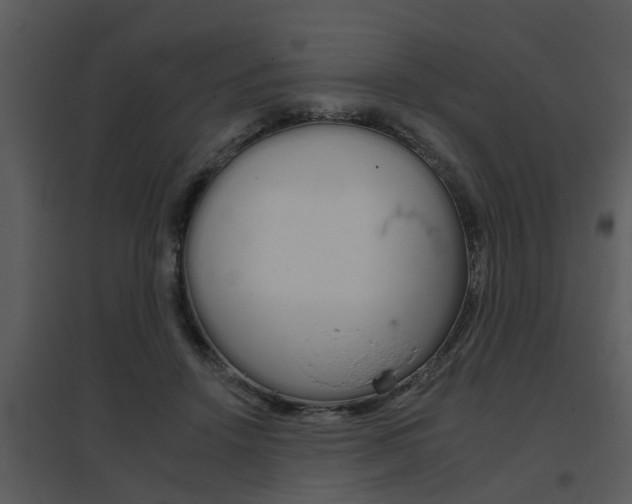X0000095670456200801081044