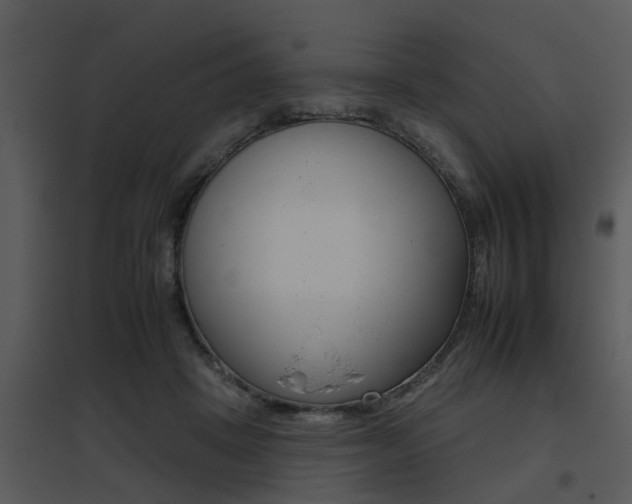 X0000095670457200801081044