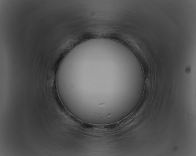X0000095670458200801081044