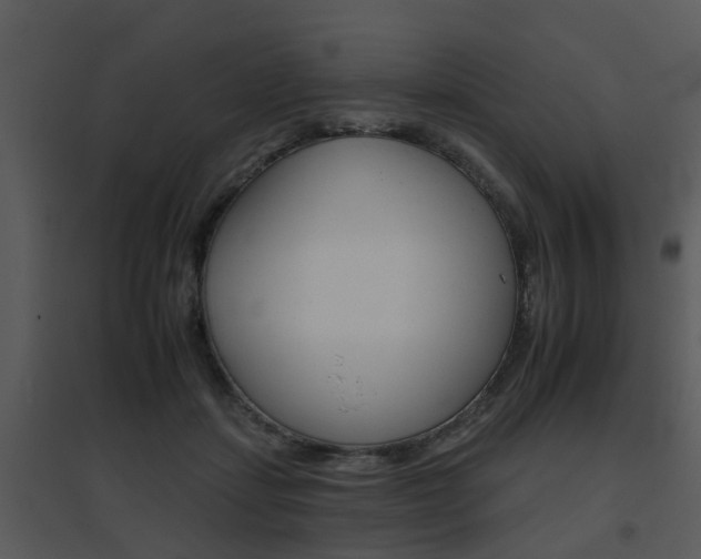 X0000095670459200801081044