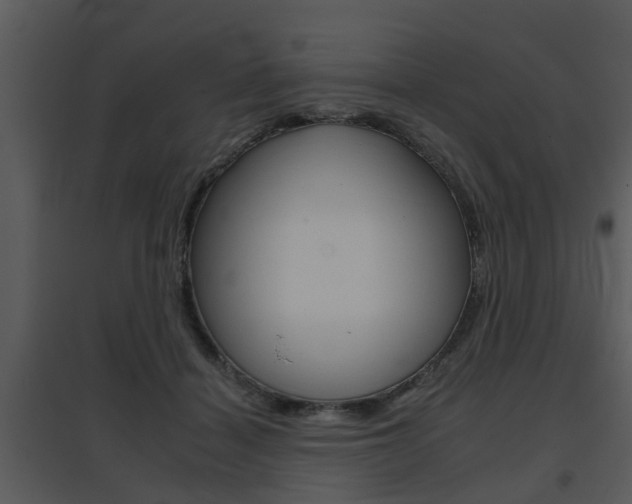 X0000095670460200801081044