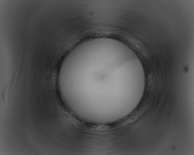X0000095670463200801081044