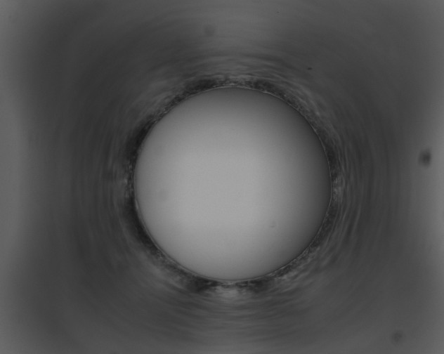 X0000095670464200801081044