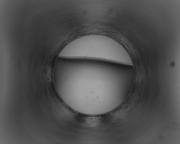 X0000095670465200801081044