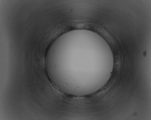 X0000095670469200801081044
