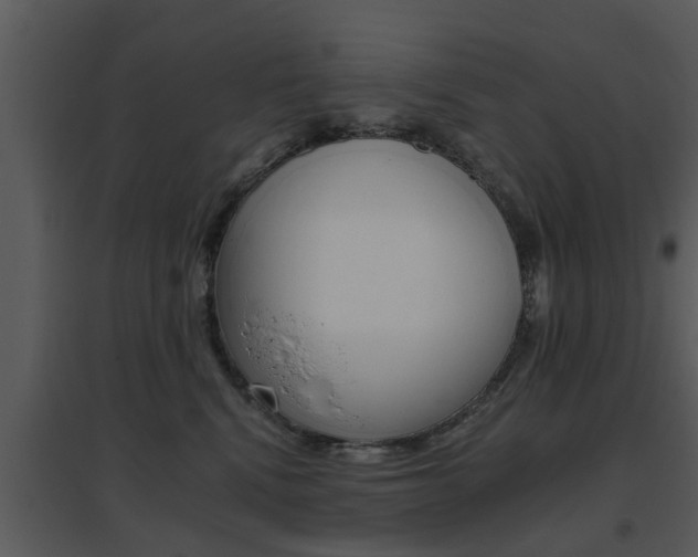 X0000095670472200801081044