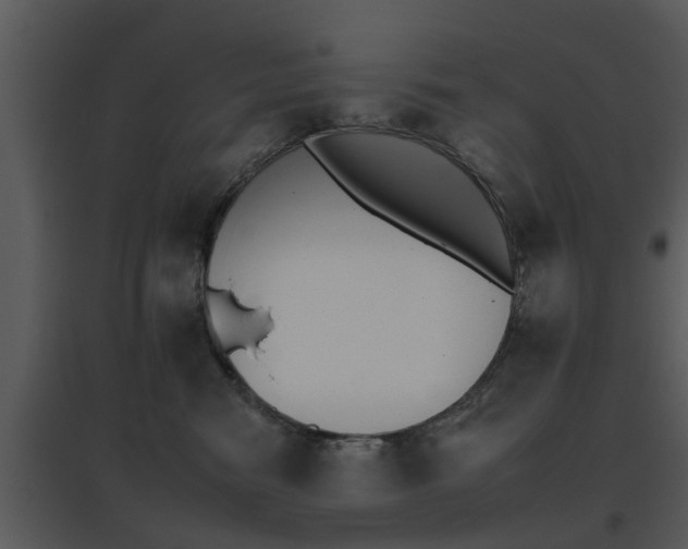 X0000095670474200801081044
