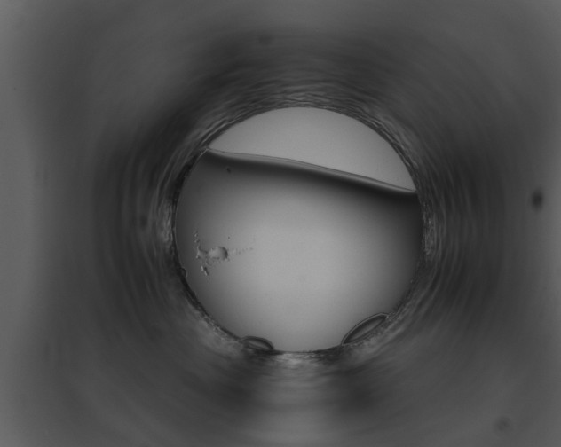 X0000095670477200801081044